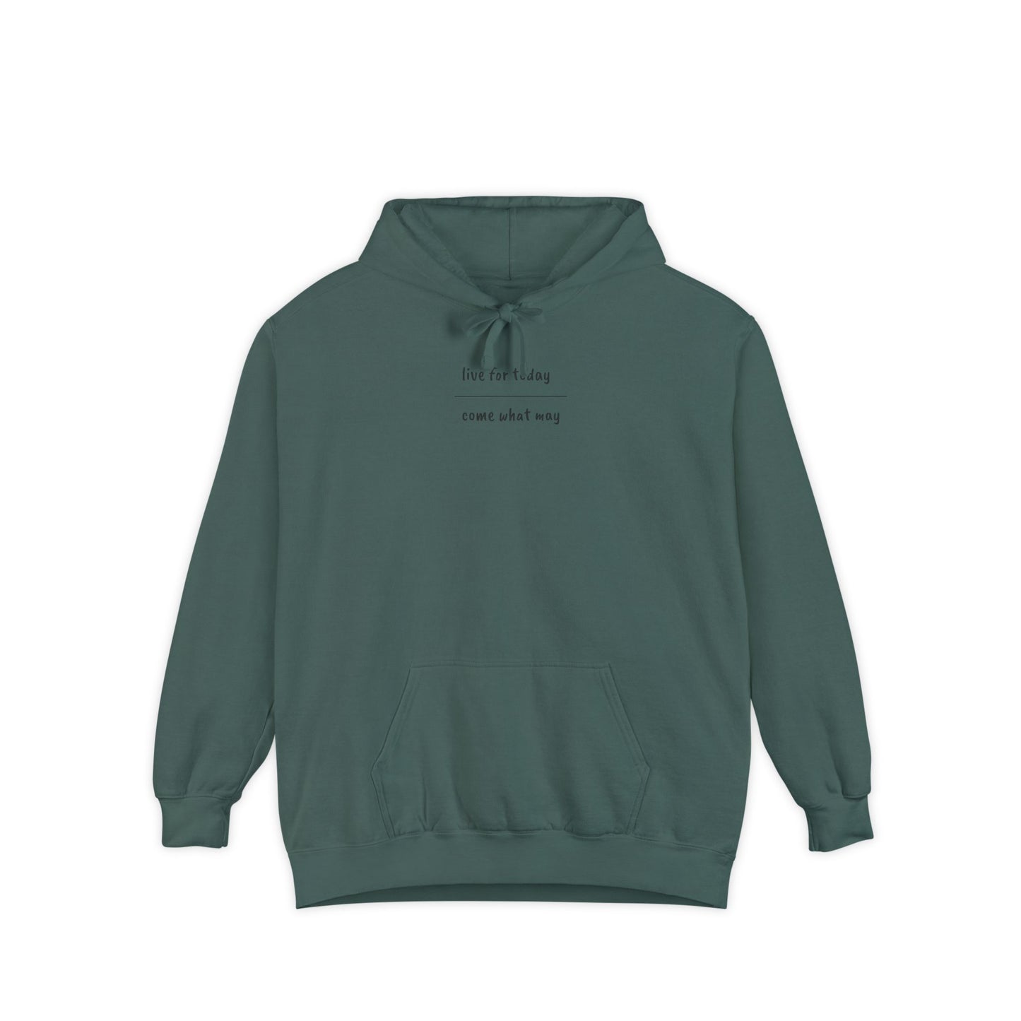live for today / come what may Hoodie