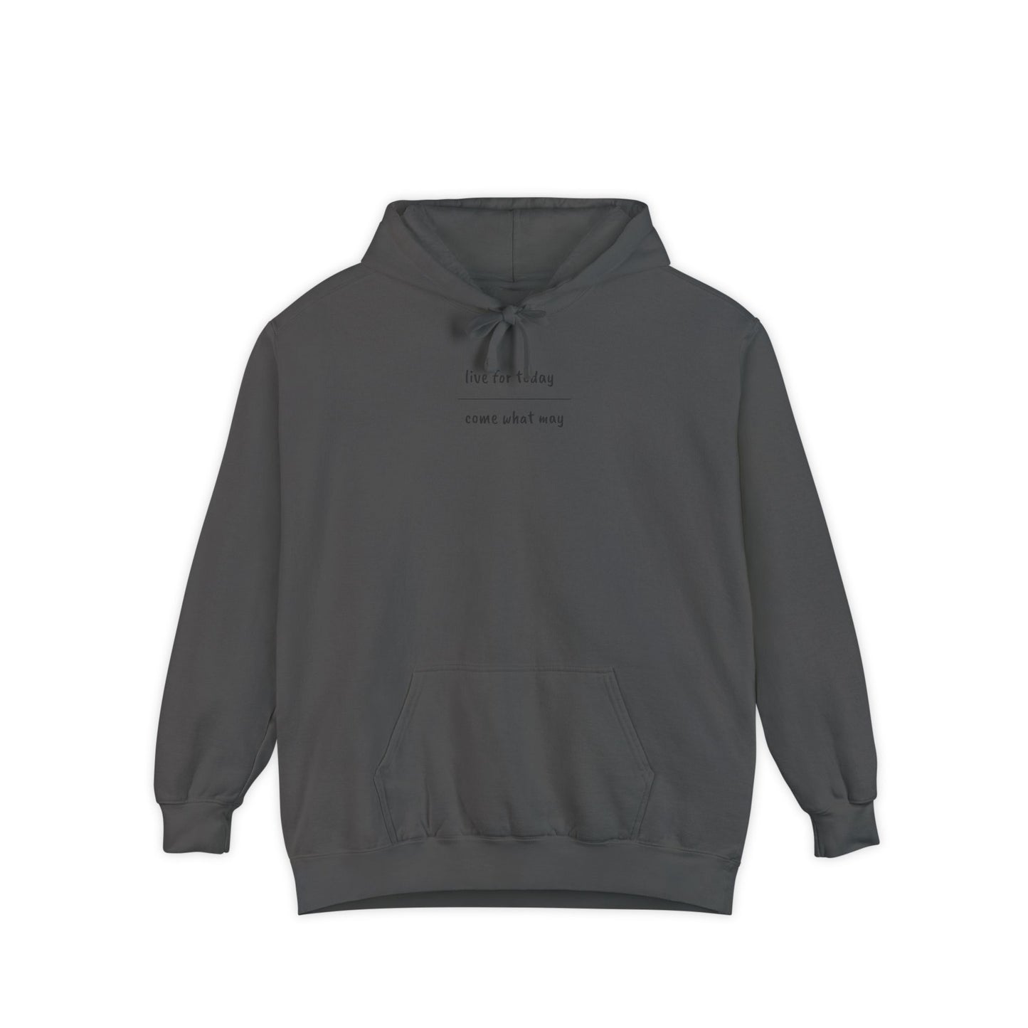 live for today / come what may Hoodie